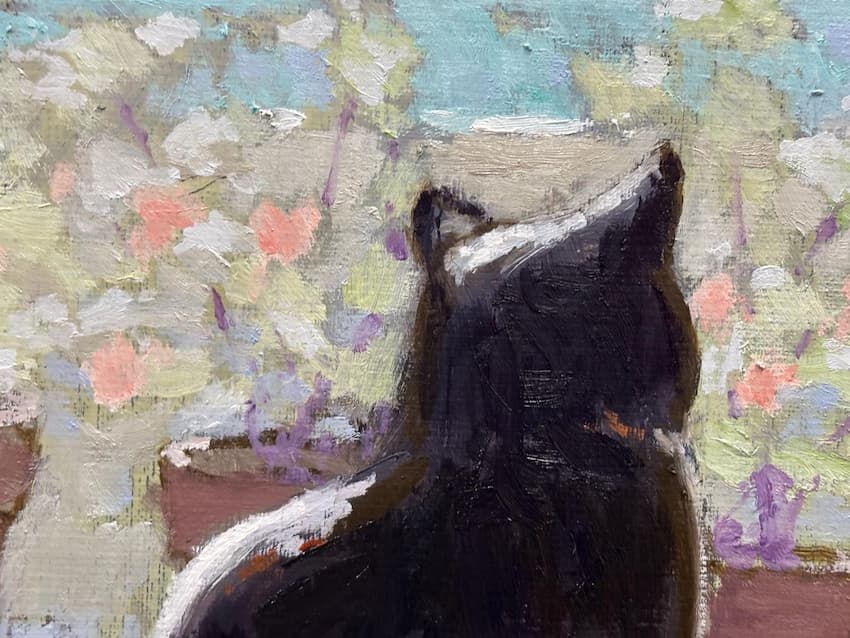 Le chat météorologue 2